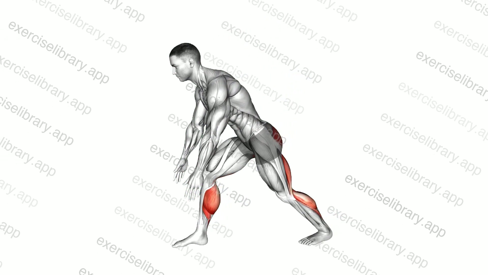 Crouching Heel Back Calf Stretch demonstration