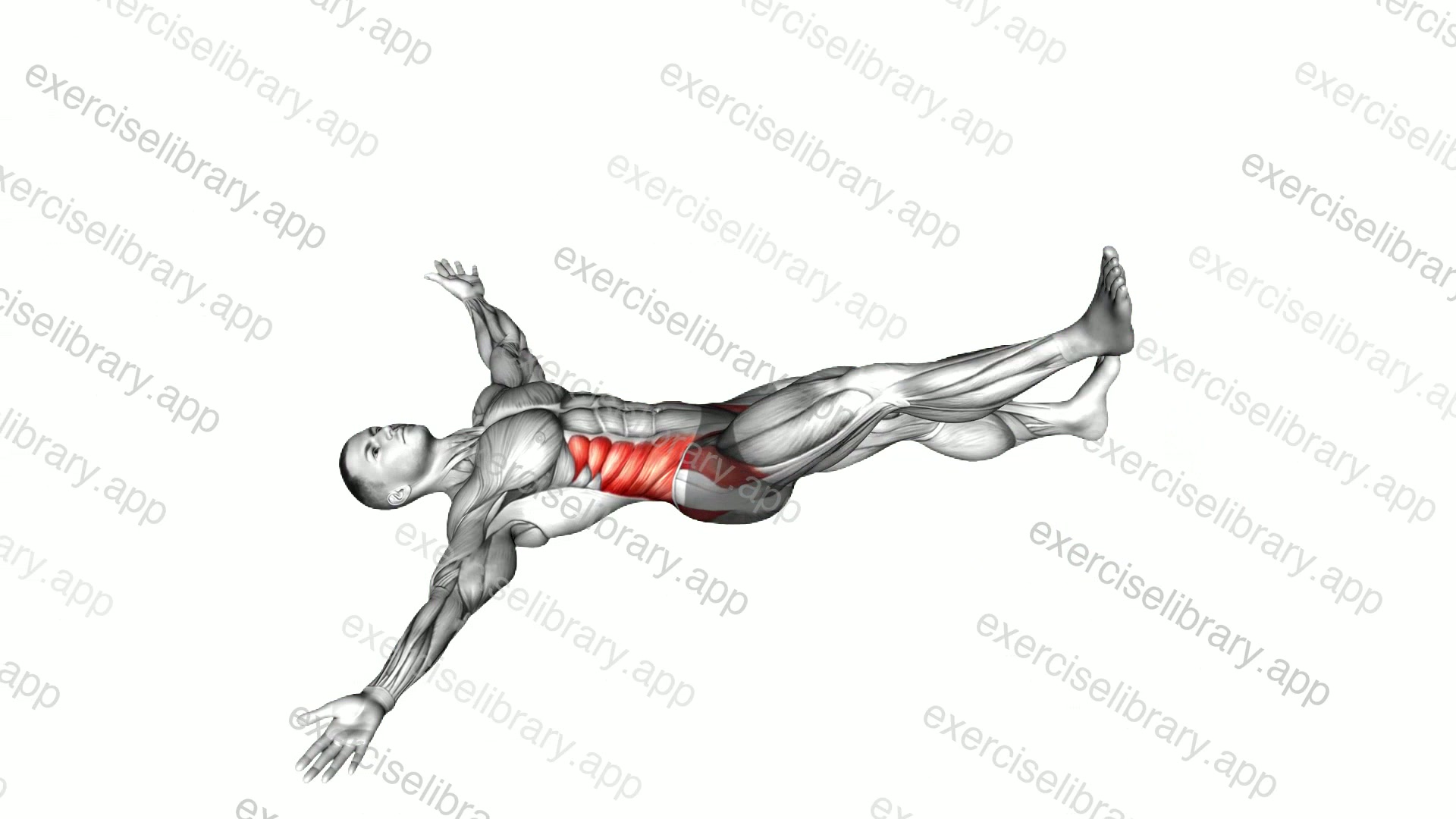 Lying Cross Over Knee Pull Down Stretch demonstration