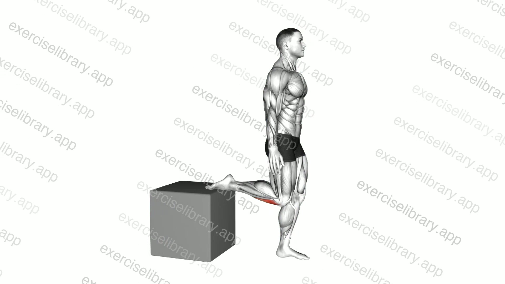 Raised Foot Shin Stretch demonstration