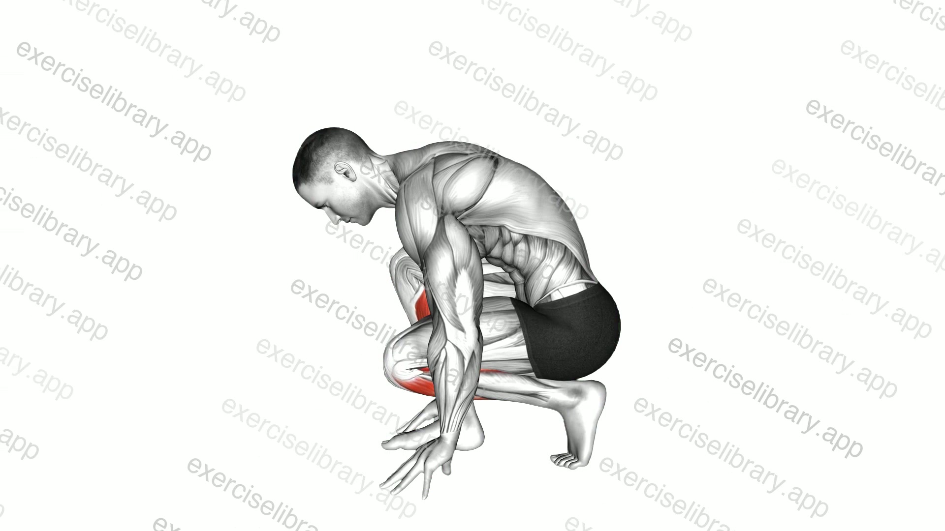 Squatting Toe Stretch demonstration