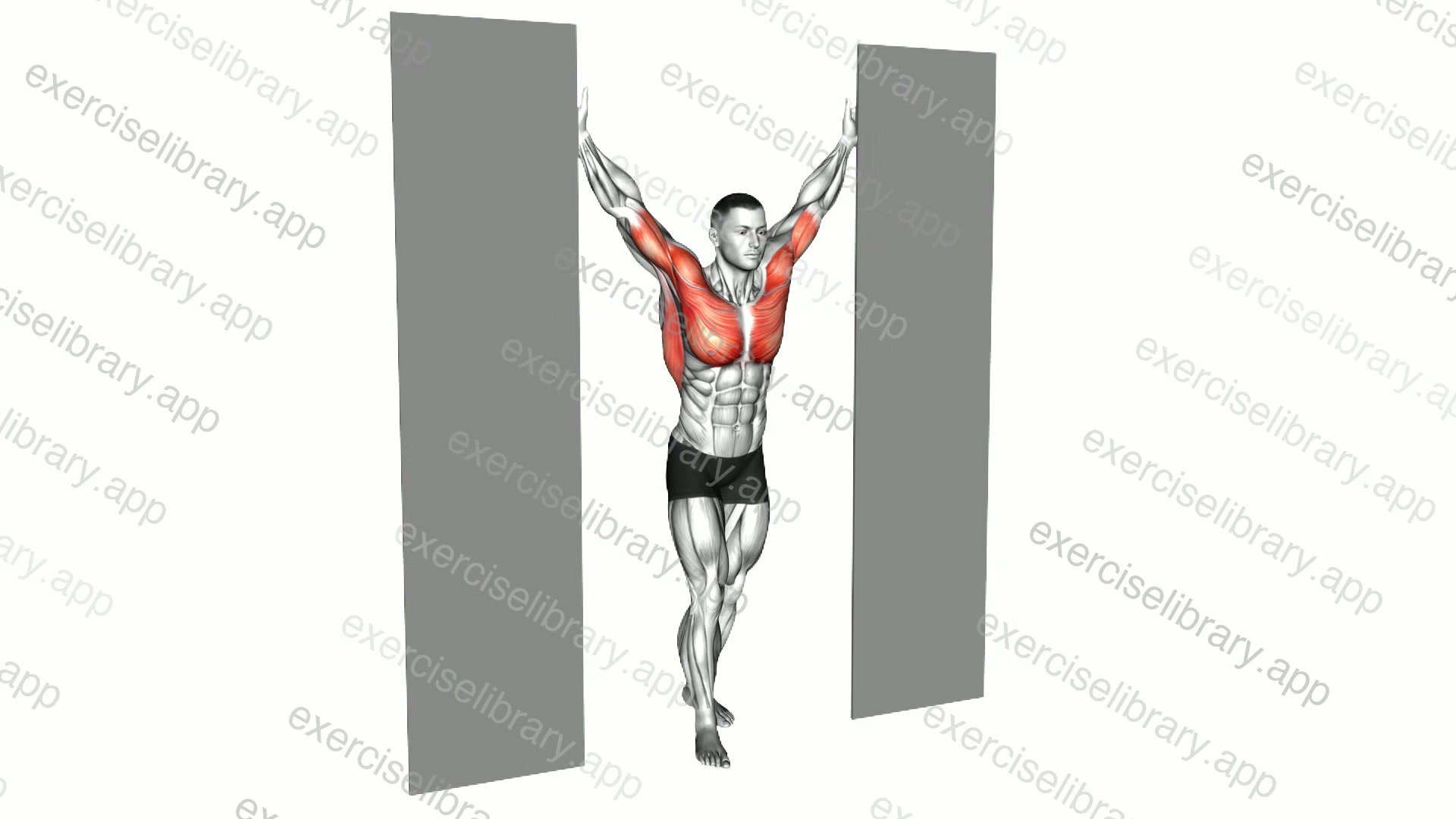 Standing Upright Shoulders Stretch demonstration