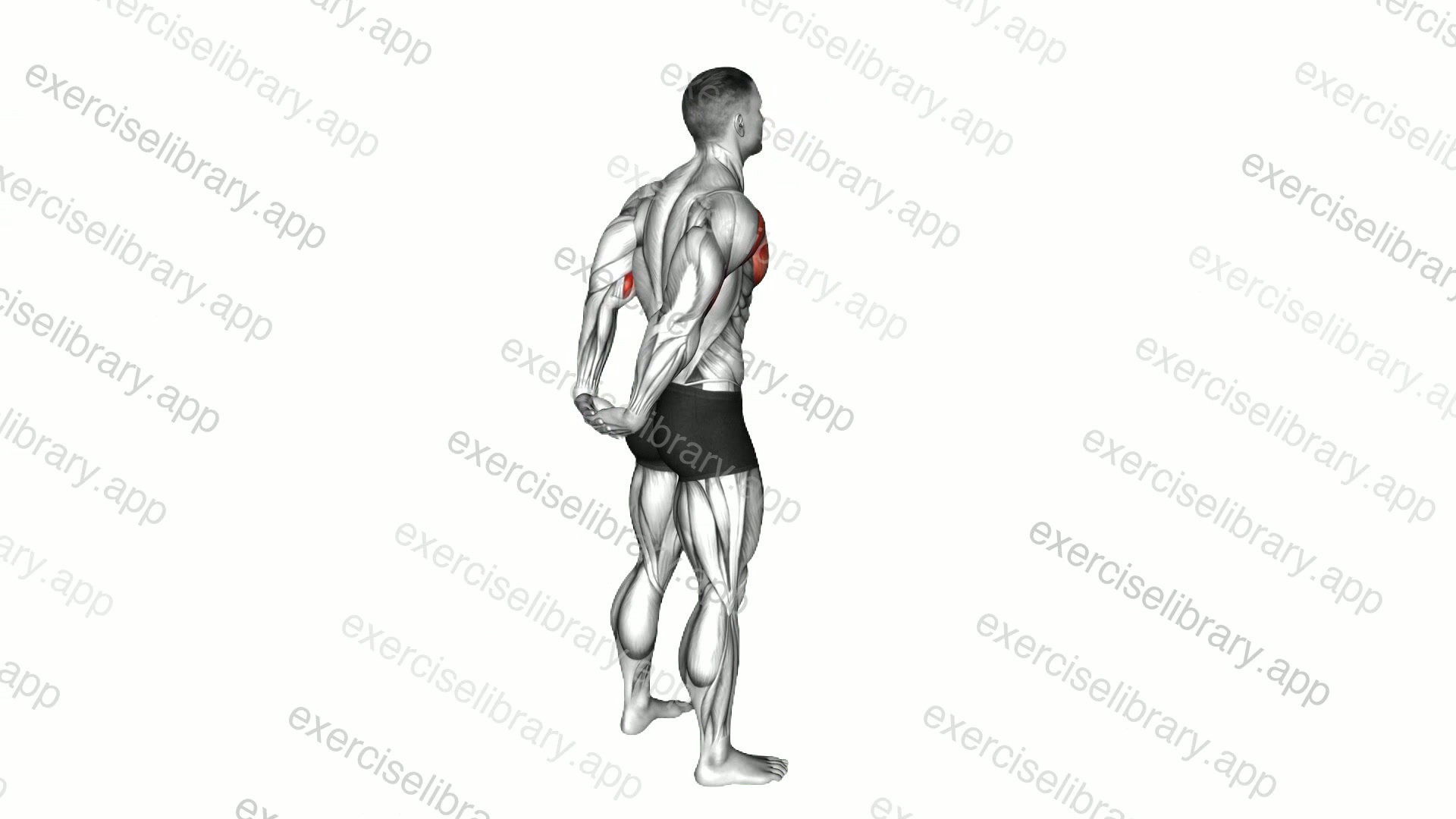 Standing Reverse Shoulder Stretch demonstration