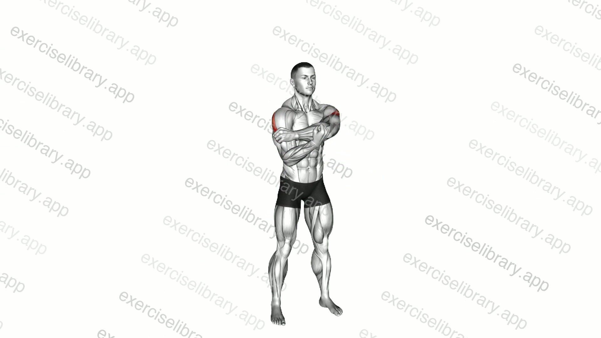 Across Chest Shoulder Stretch demonstration