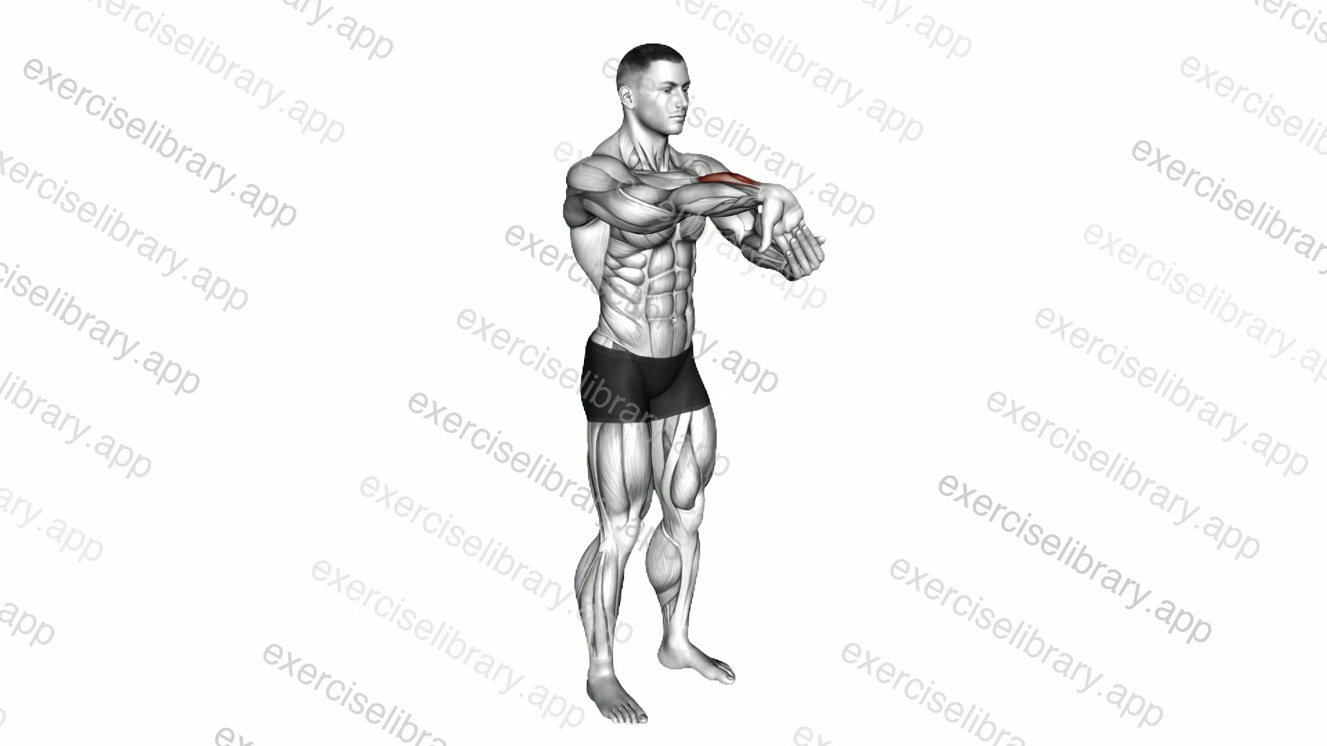 Fingers Down Forearm Stretch demonstration