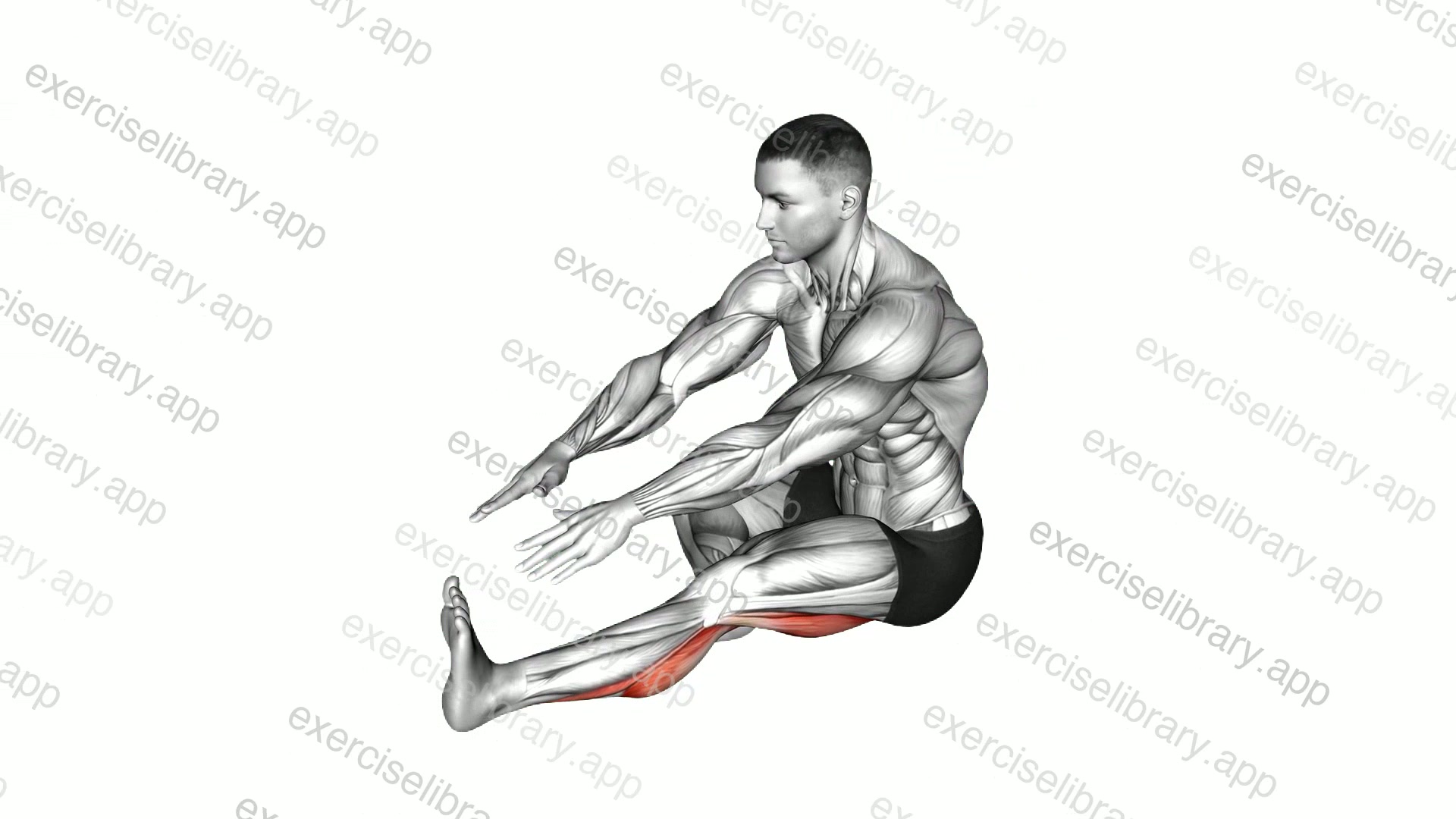 Sitting Toe Pull Calf Stretch demonstration