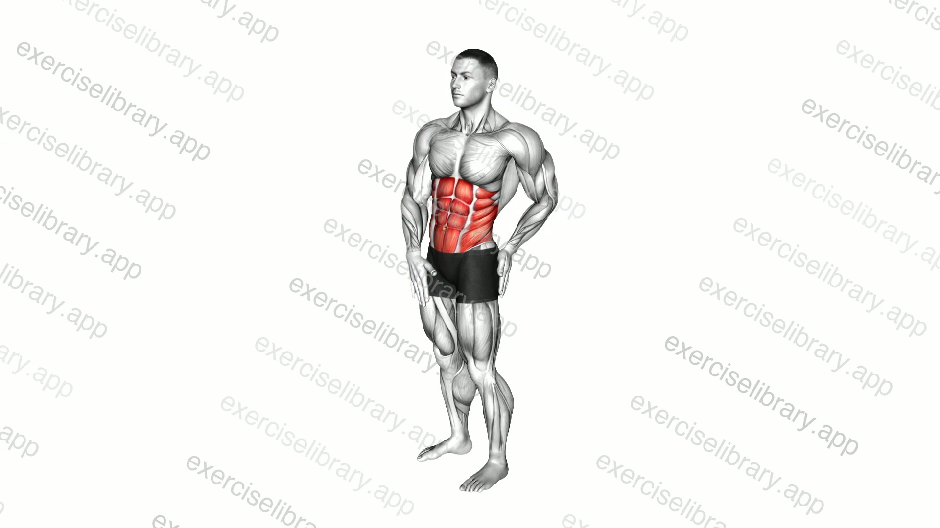 Standing Abs Rotation Stretch demonstration