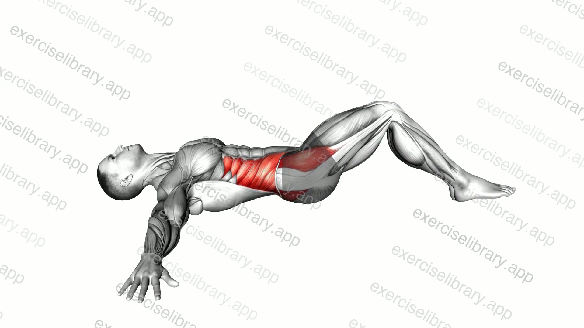 Lying Knee Roll Over Stretch demonstration