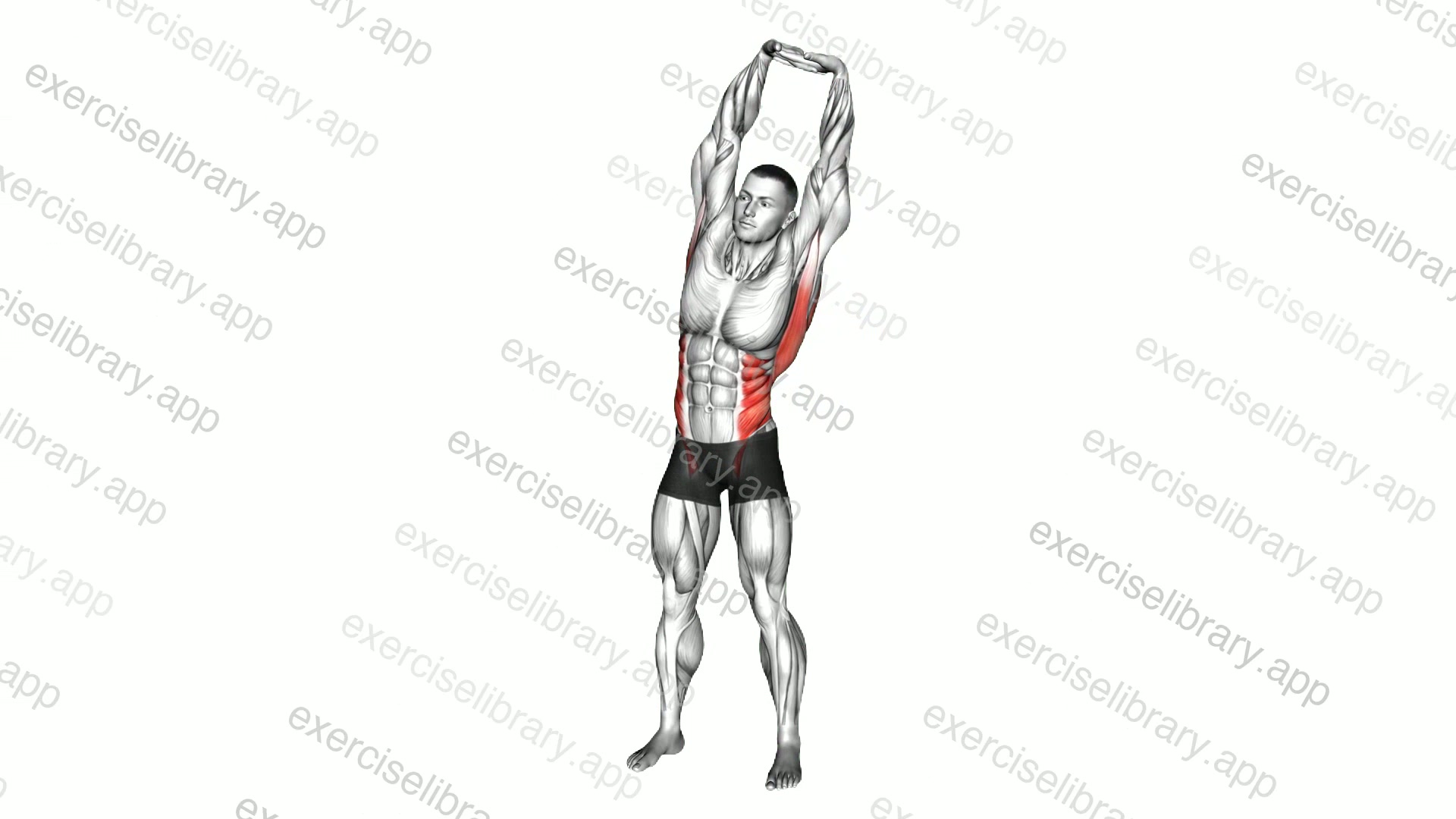 Standing Side Stretch demonstration