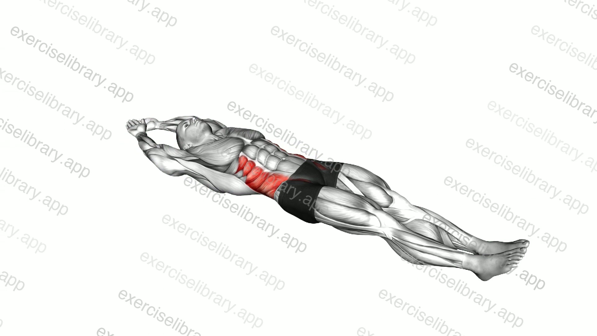 Lateral Bend Lying Down demonstration