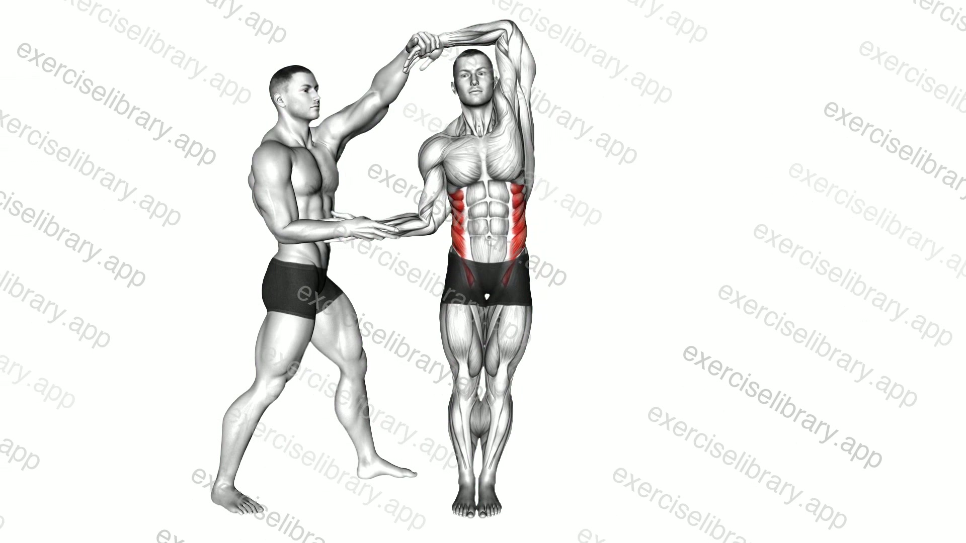Assisted Side Bent demonstration