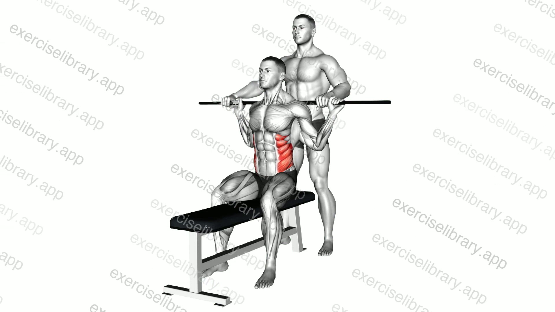 Assisted Obliques Stretch demonstration