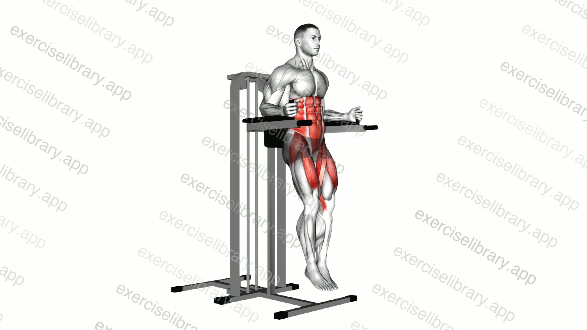 Captains chair leg raise demonstration