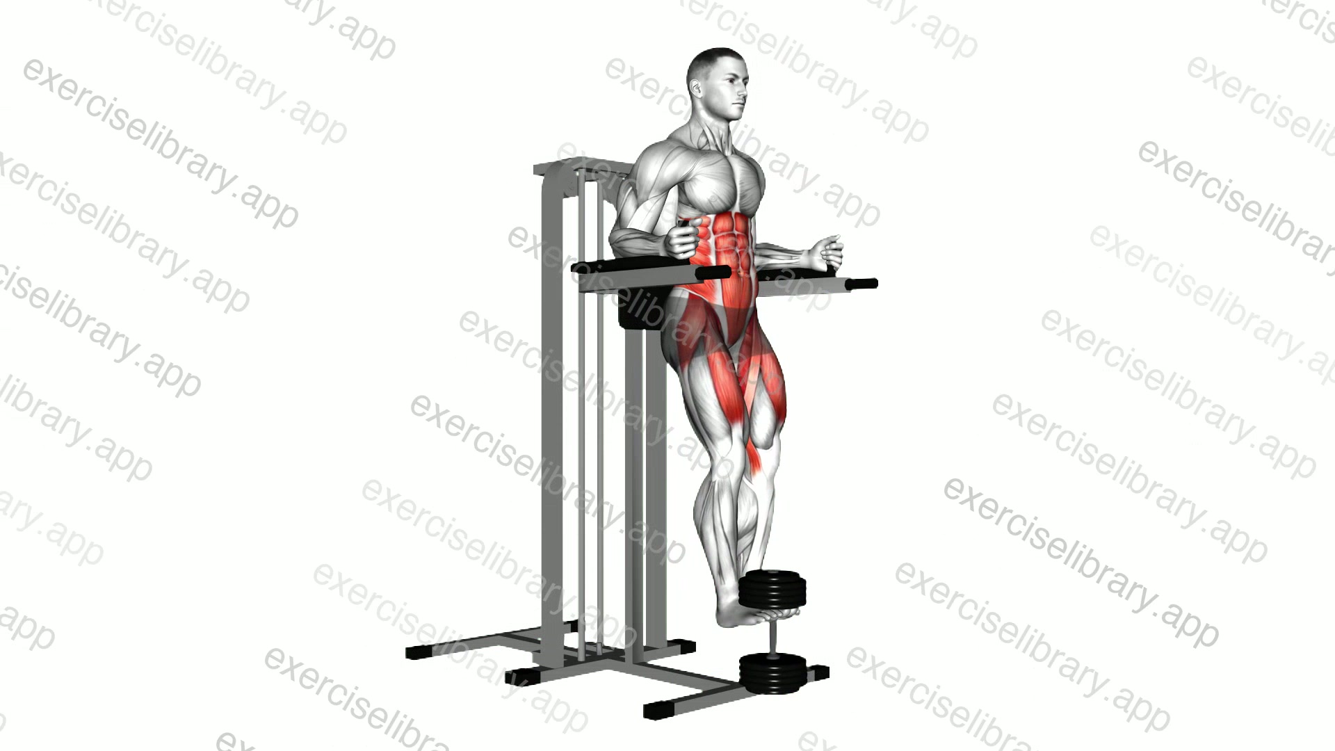 Weighted Captains chair leg raise demonstration