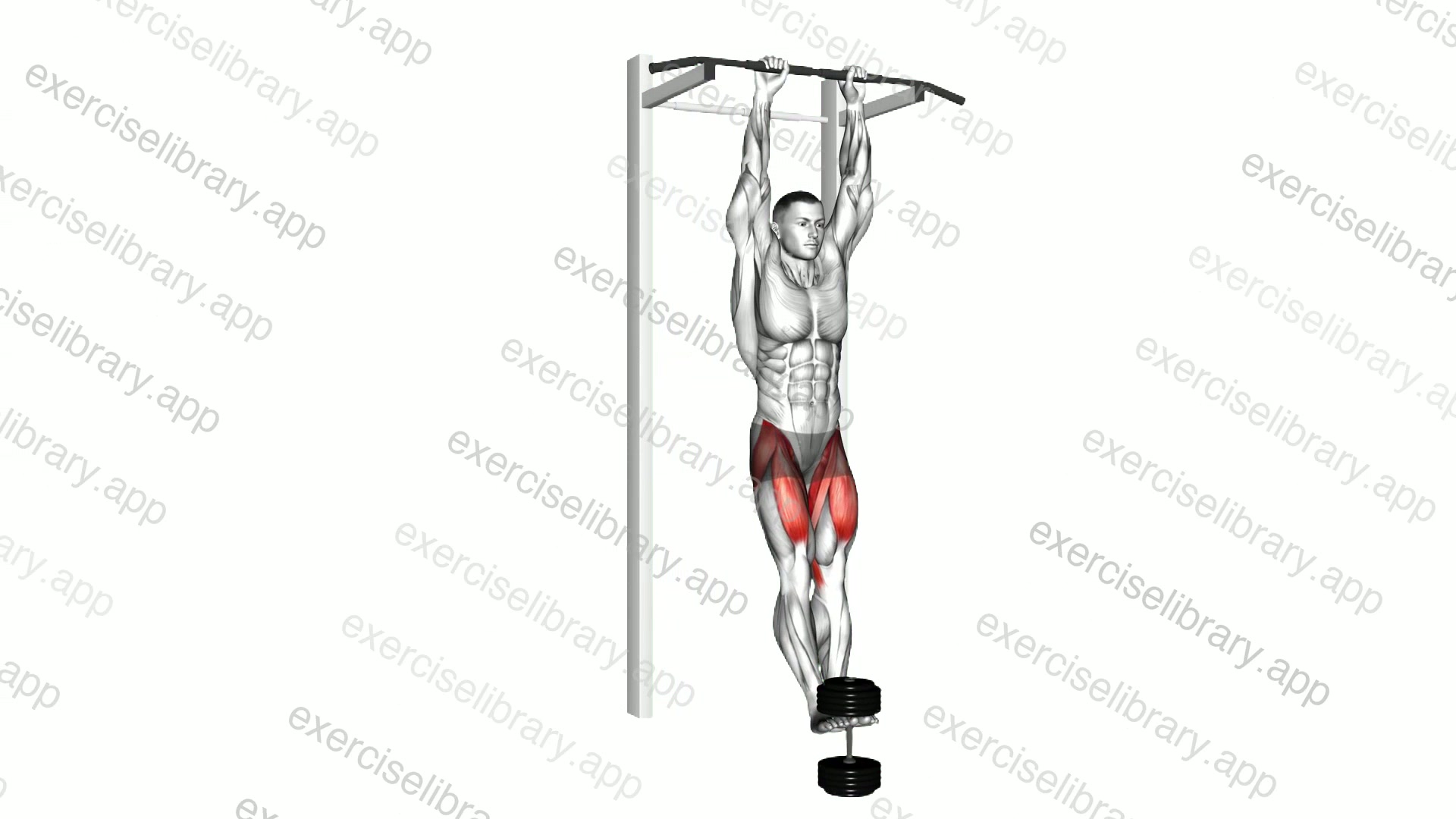 Weighted Hanging Straight Leg Raise demonstration