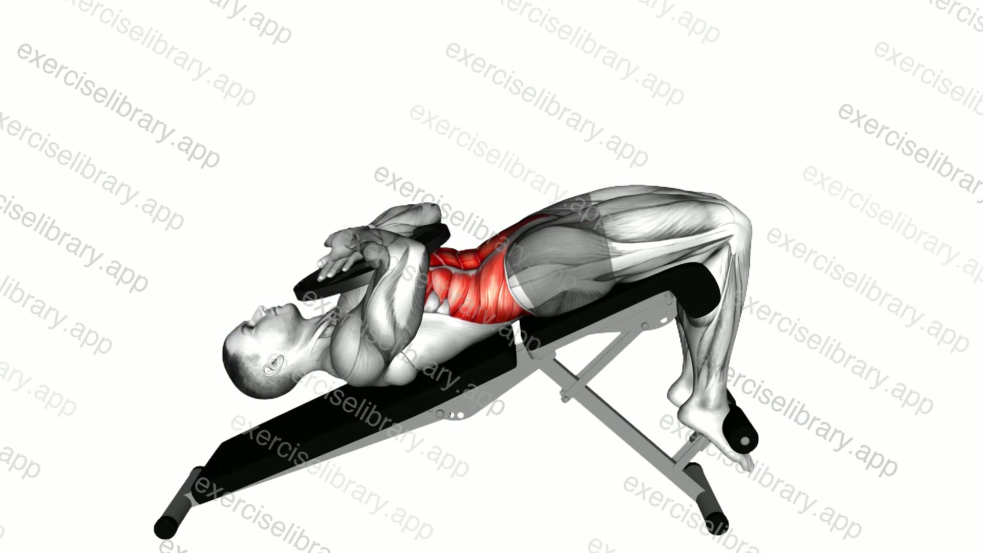 Weighted decline crunch demonstration