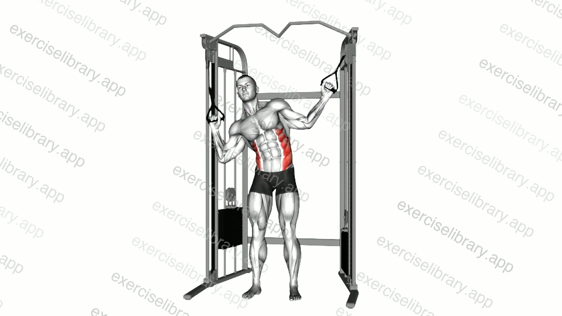Cable Standing Serratus crunch demonstration