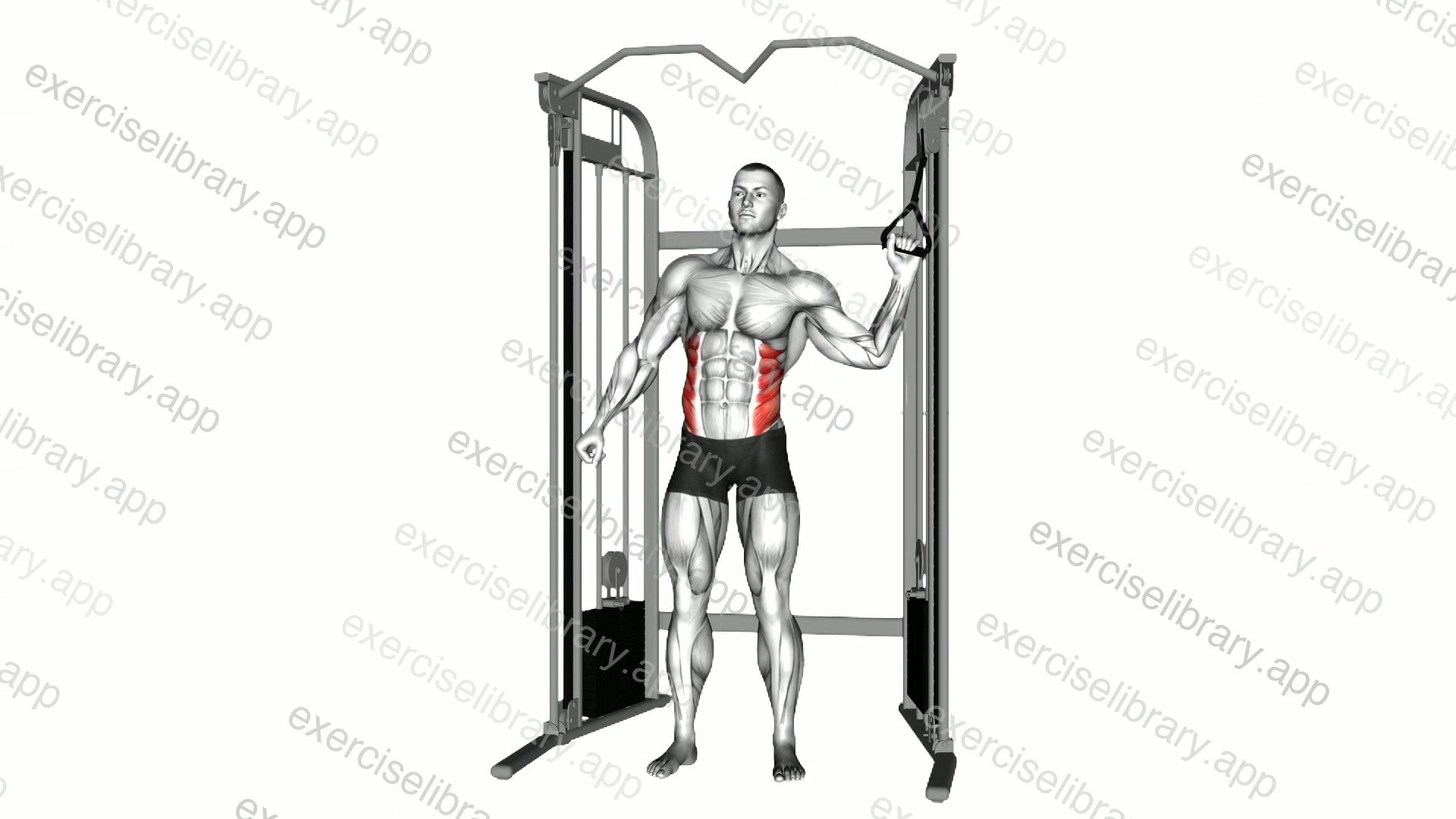 Cable Standing One Arm Serratus crunch demonstration