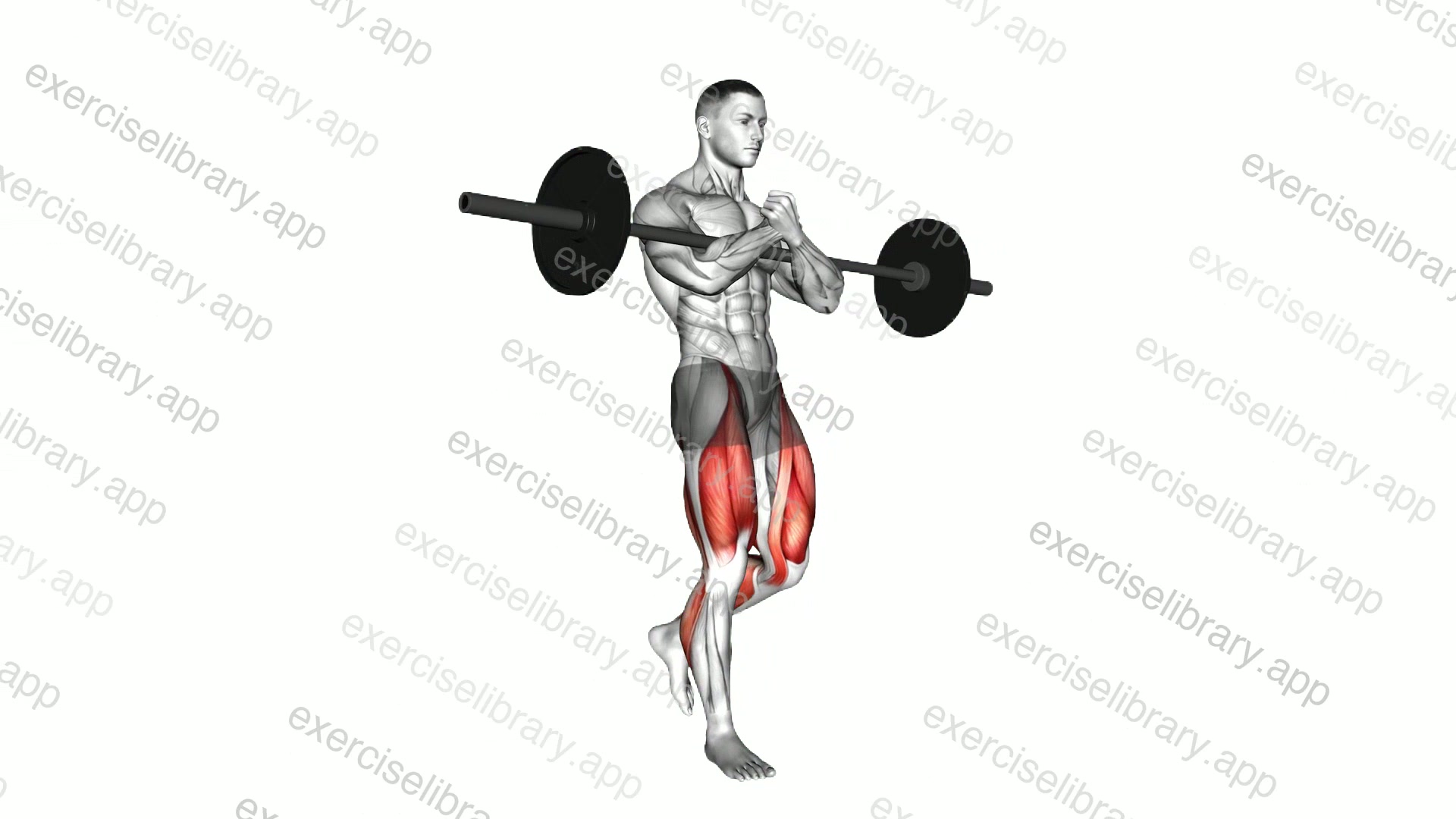 Zercher Carry demonstration