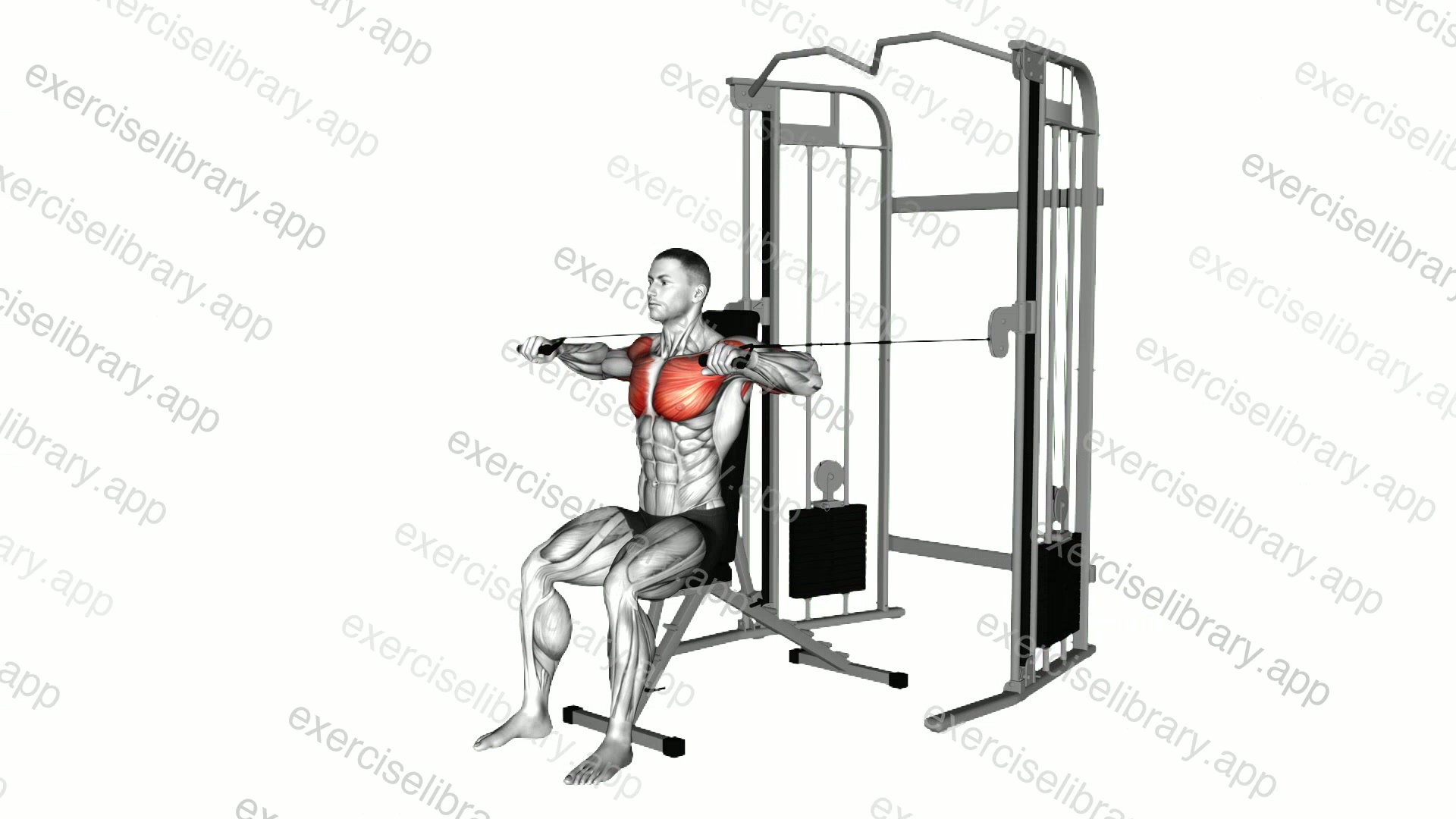 Cable Seated Chest Press demonstration