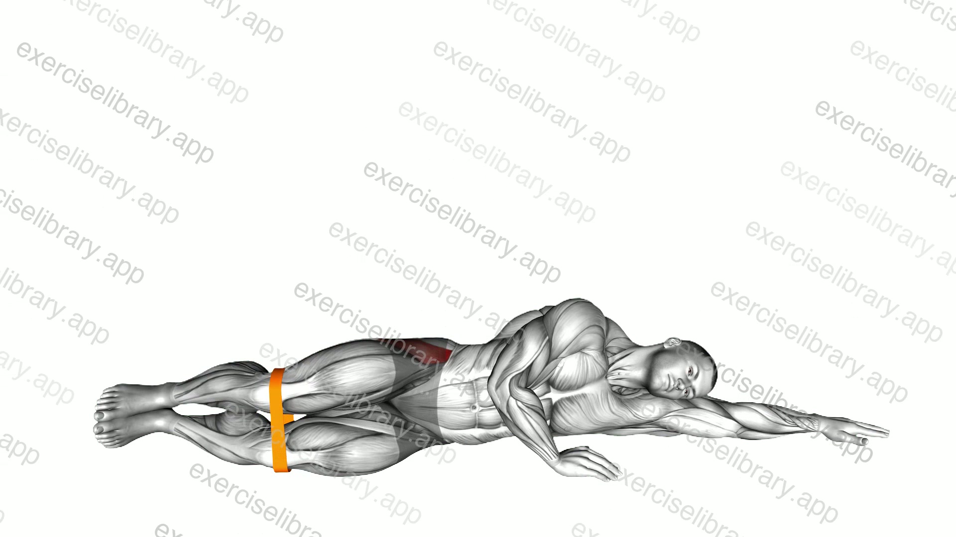 Resistance Band Clam demonstration