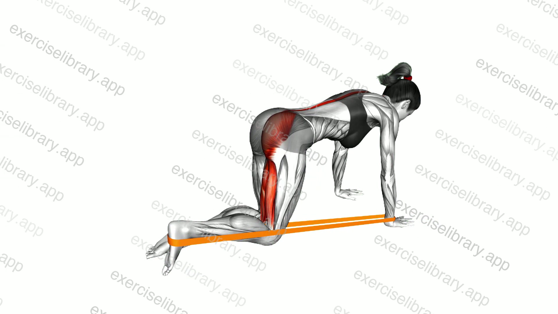 Resistance Band Leg Kickback demonstration