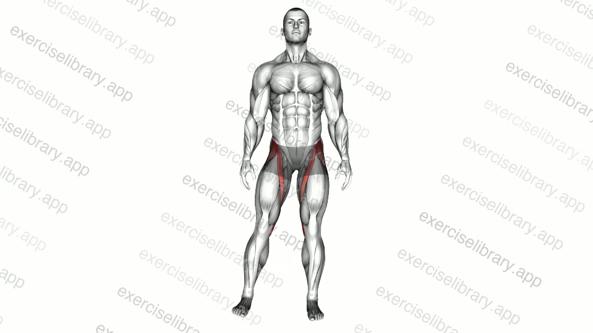 Hip abduction demonstration