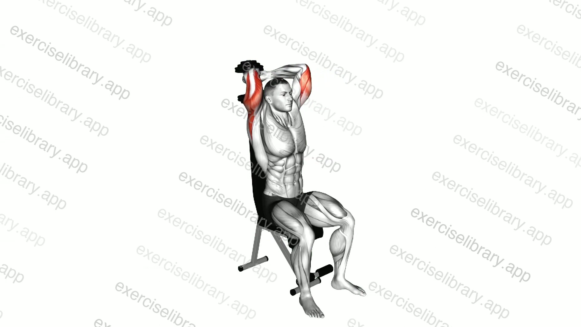 Dumbbell Seated Triceps Extension demonstration