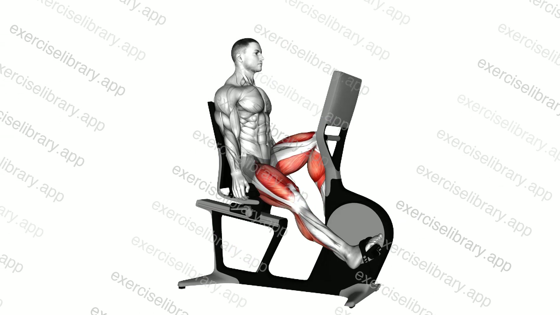 Bicycle Recline Walk demonstration