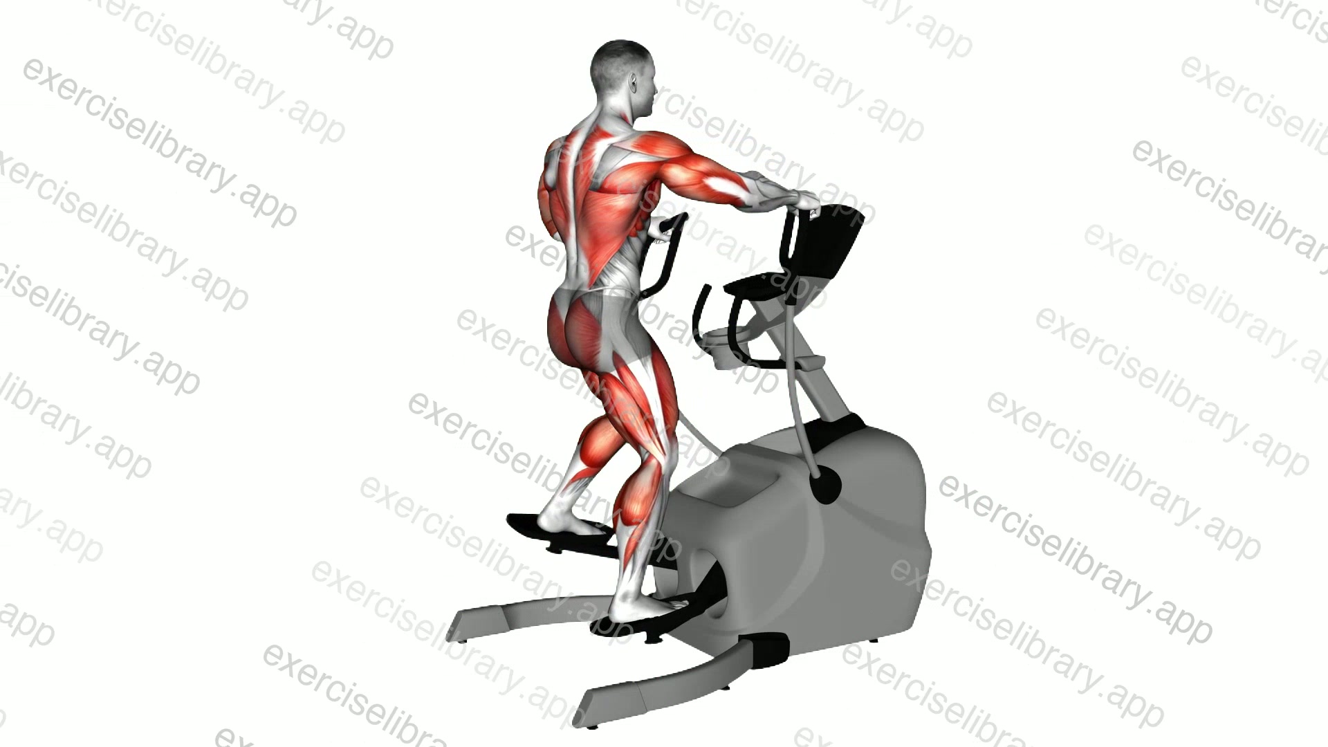 Elliptical lateral Walk demonstration