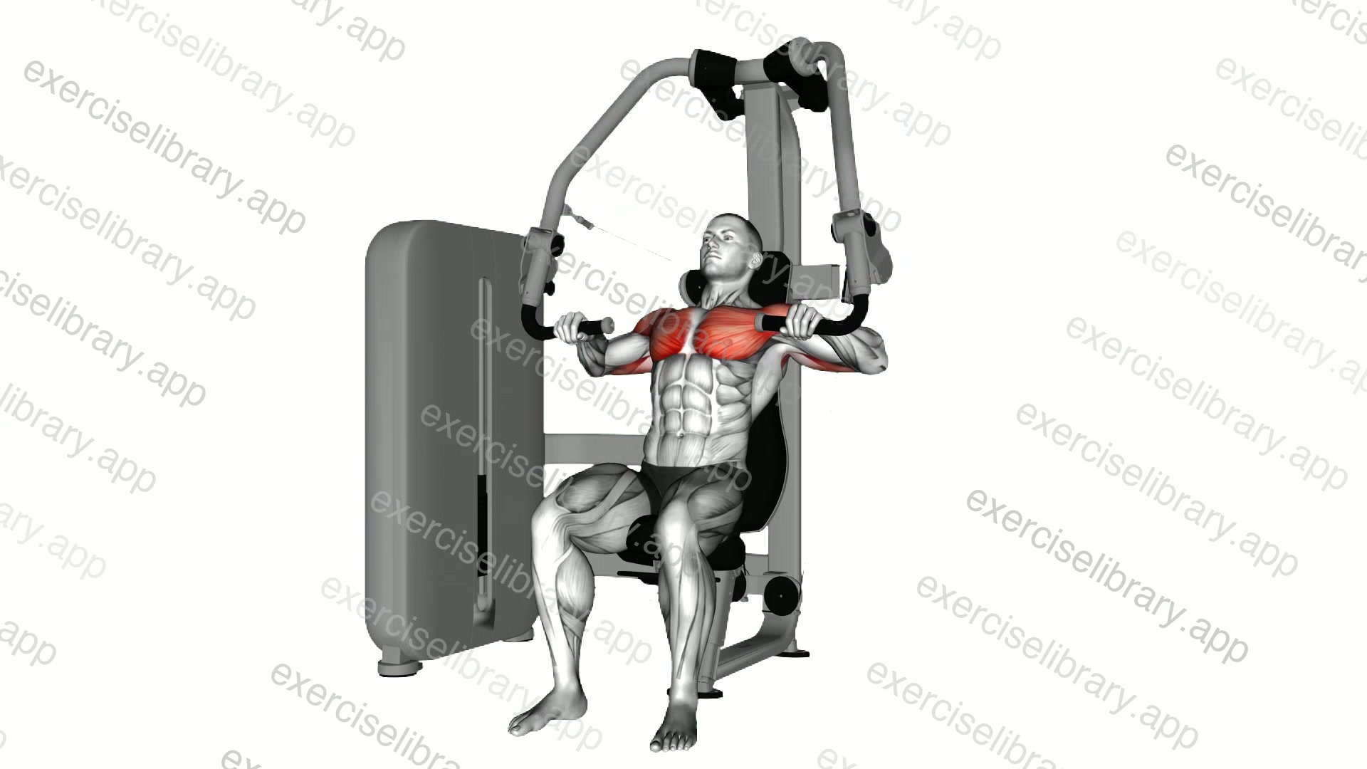Lever Chest Press demonstration