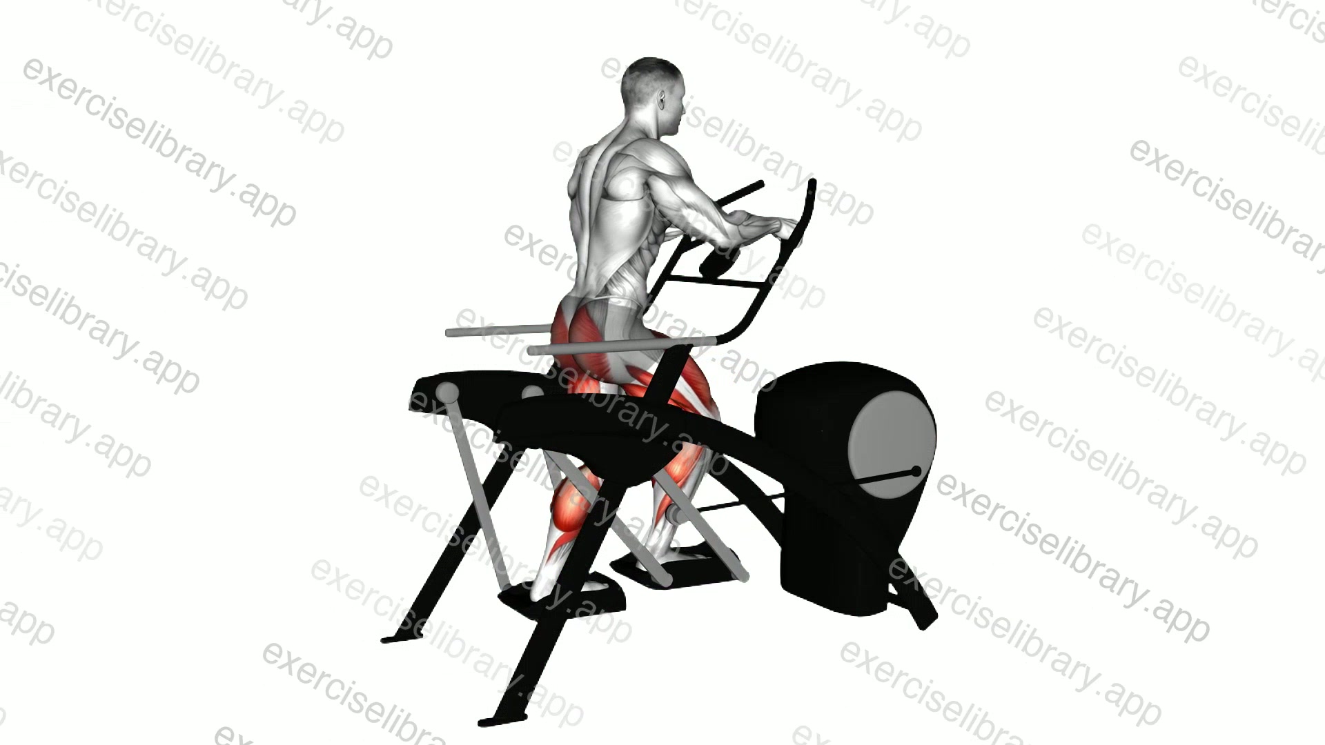 Lever Elliptical Static Walk demonstration