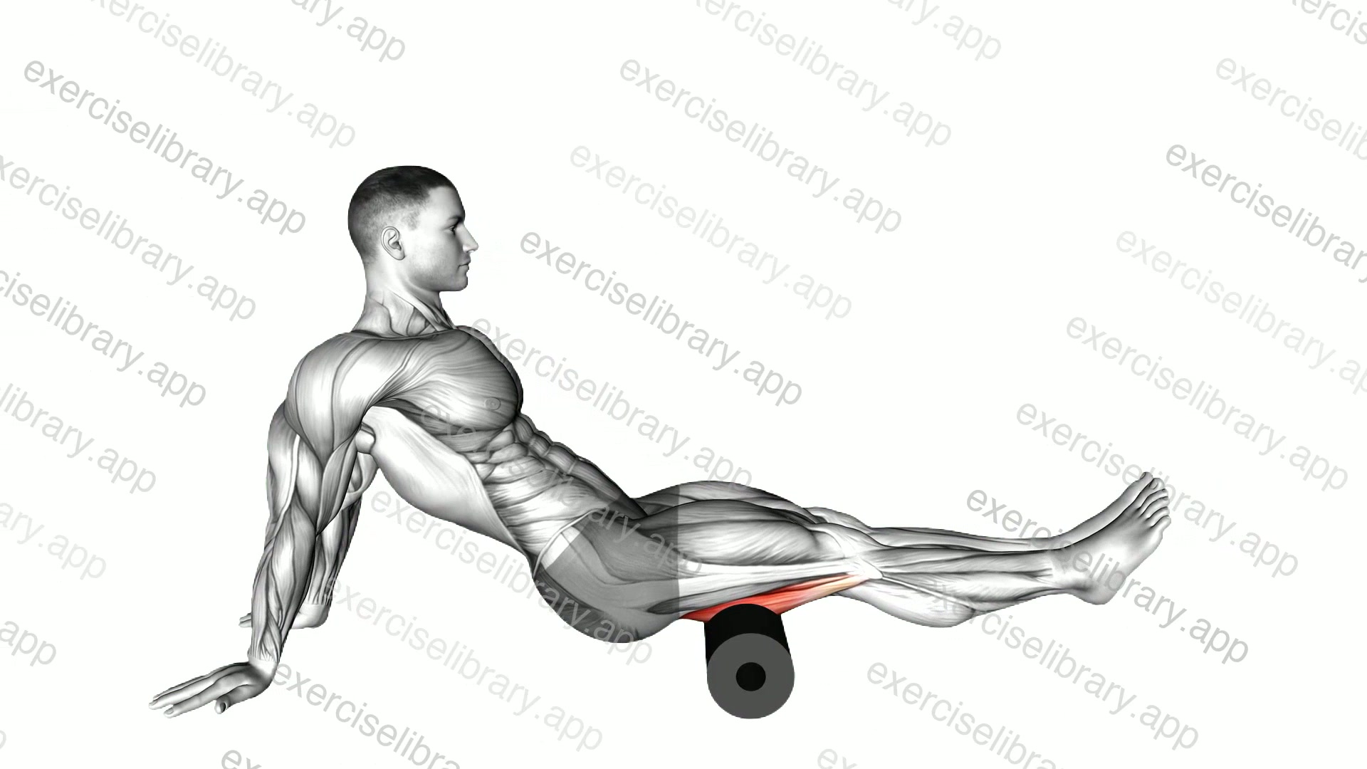 Roll Seated Shoulder Flexor Depresor Retractor demonstration