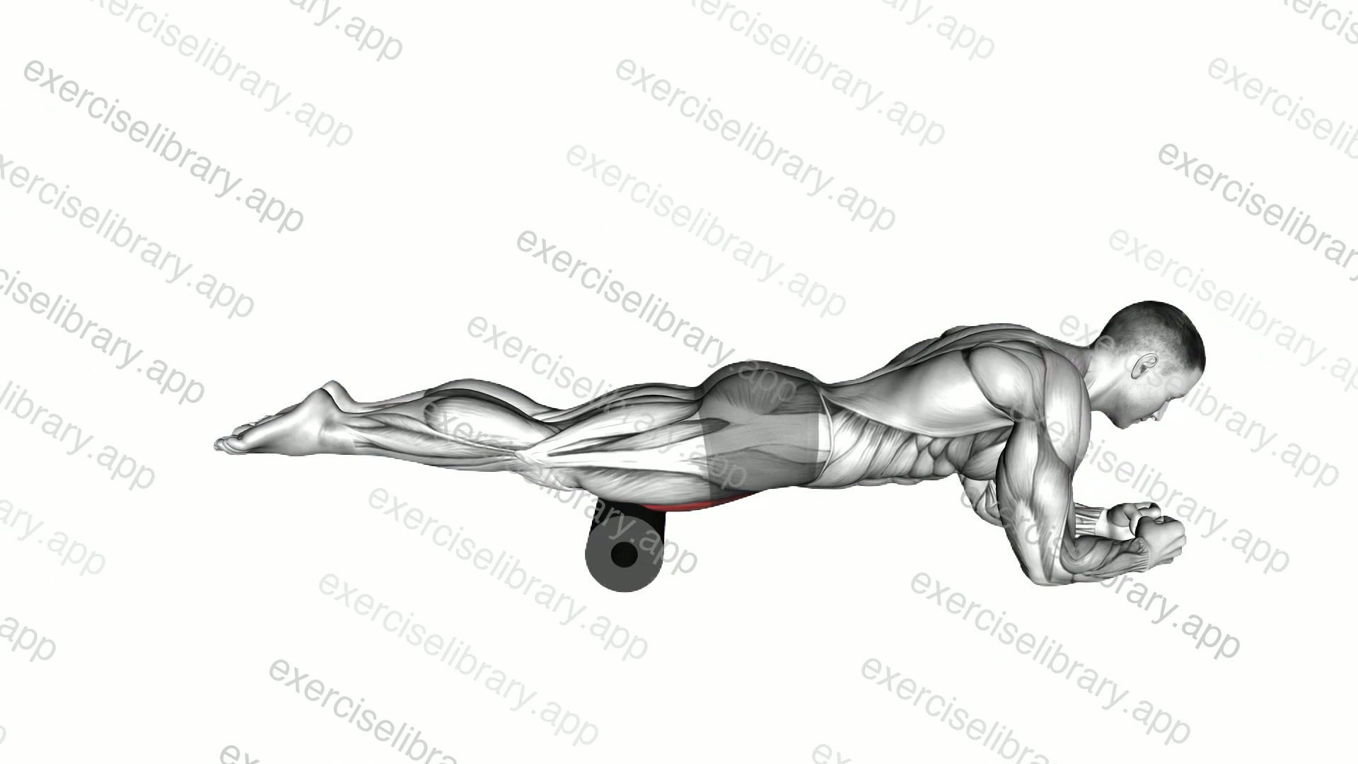 Roll Rectus Femoris demonstration