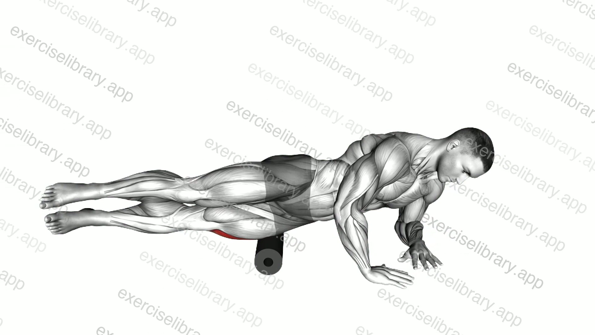 Roll Side Lat Stretch demonstration