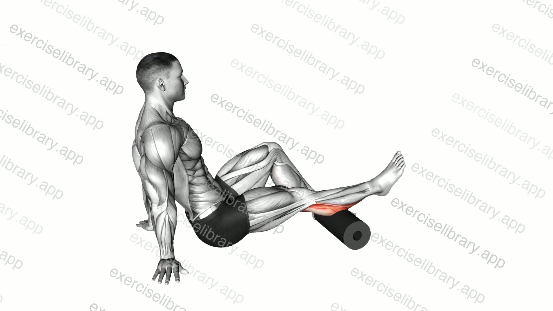 Roll Seated Single Leg Shoulder Flexor Depresor Retractor demonstration