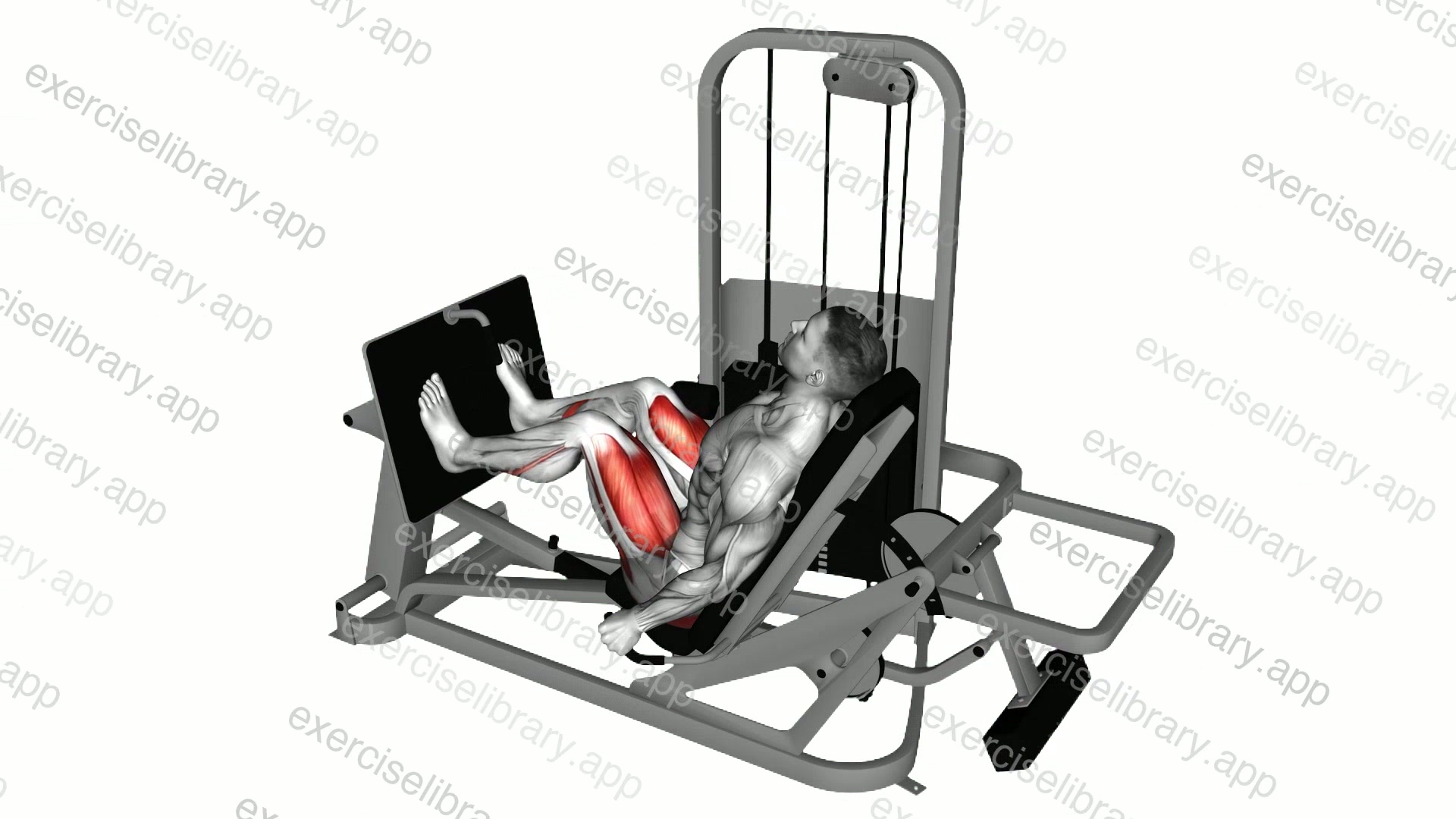 Lever Seated Leg Press demonstration