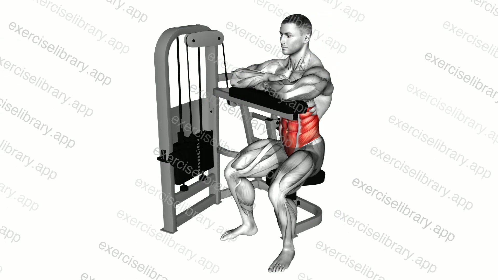 Lever Seated Crunch demonstration
