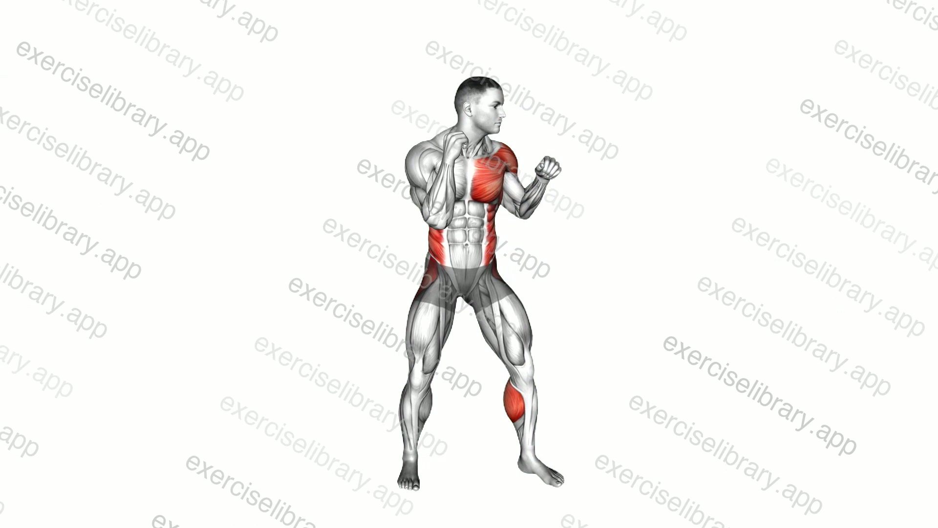 Boxing Left Hook demonstration