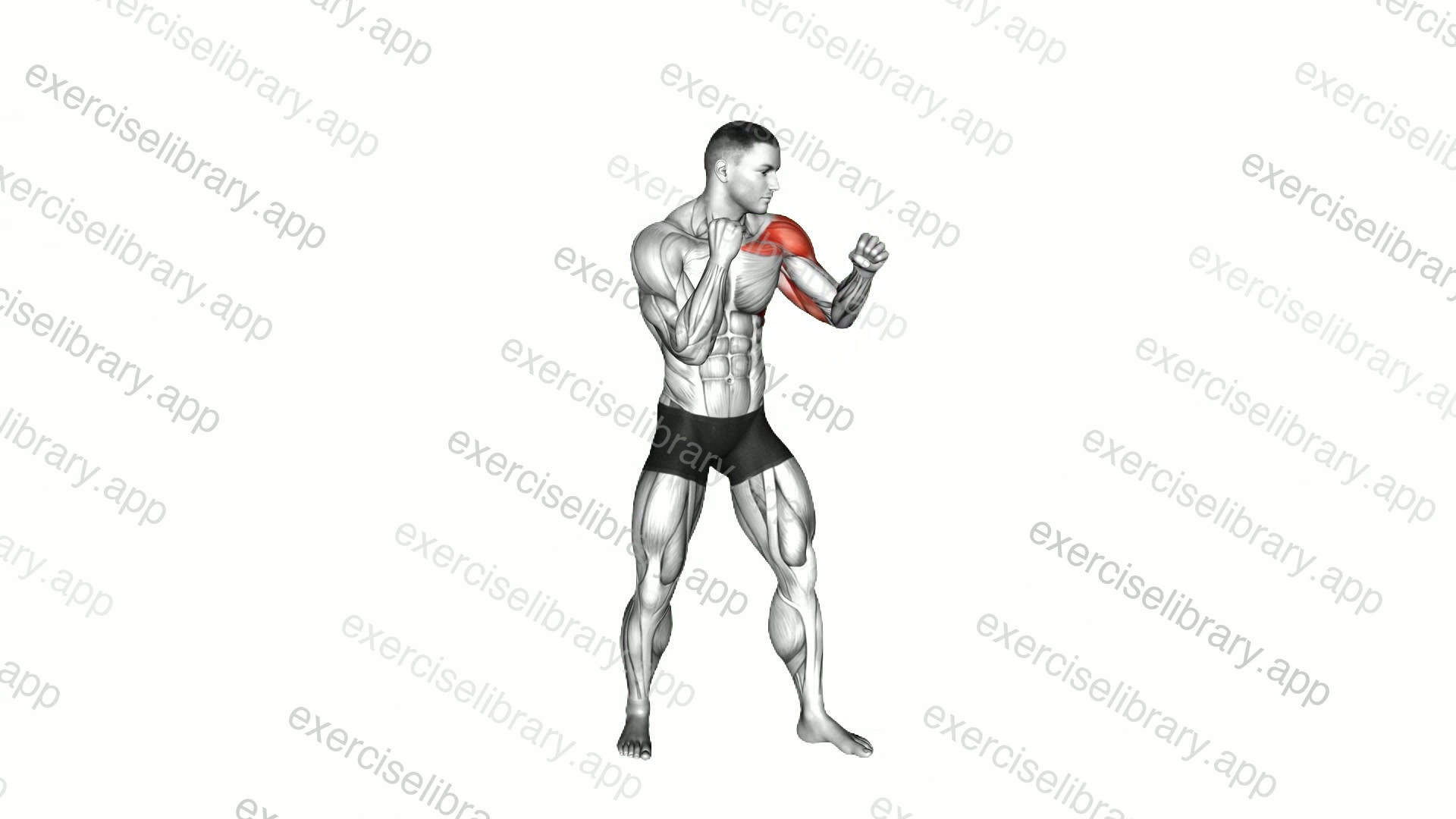 Boxing Jab demonstration