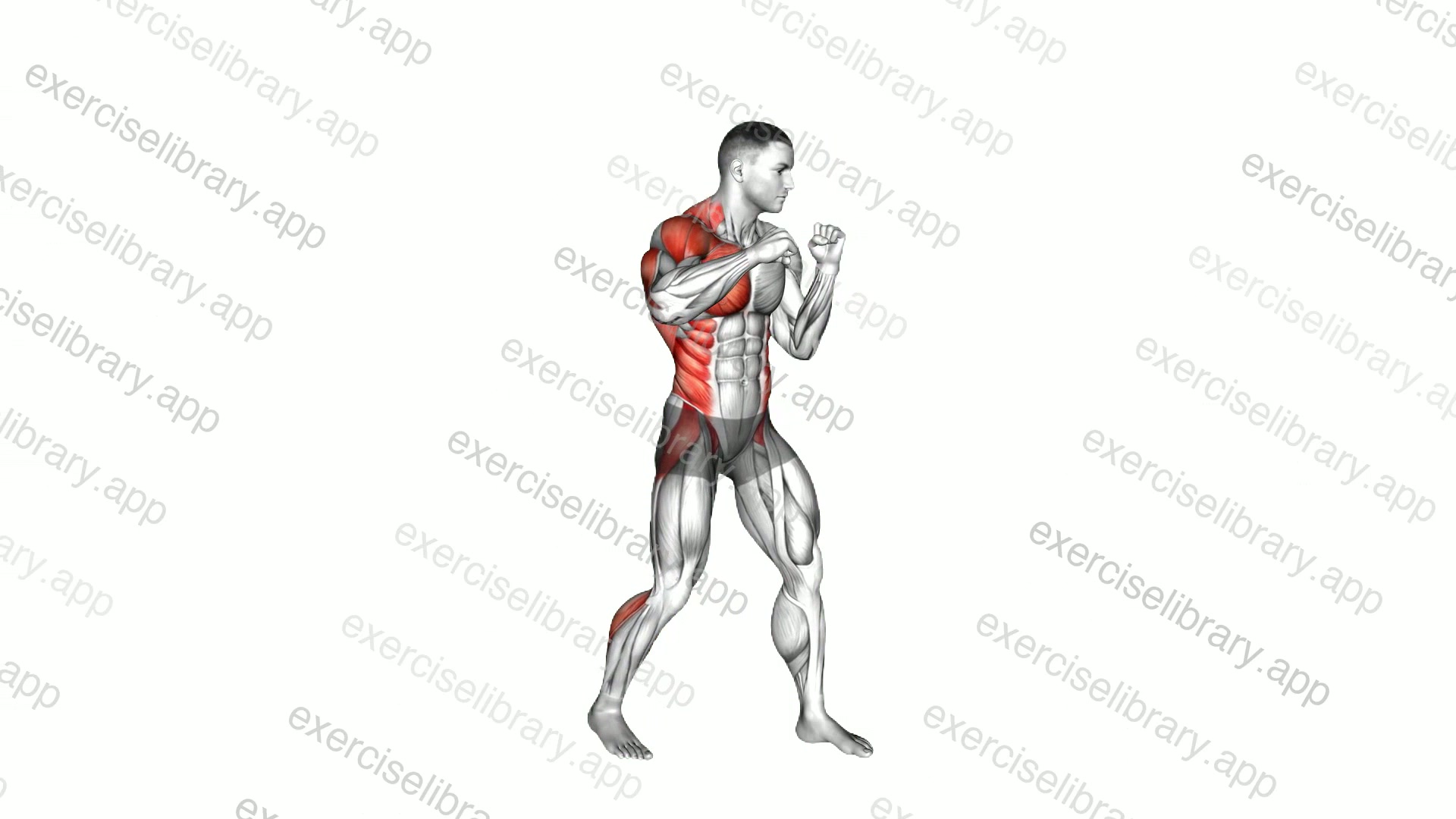 Boxing Right Cross demonstration
