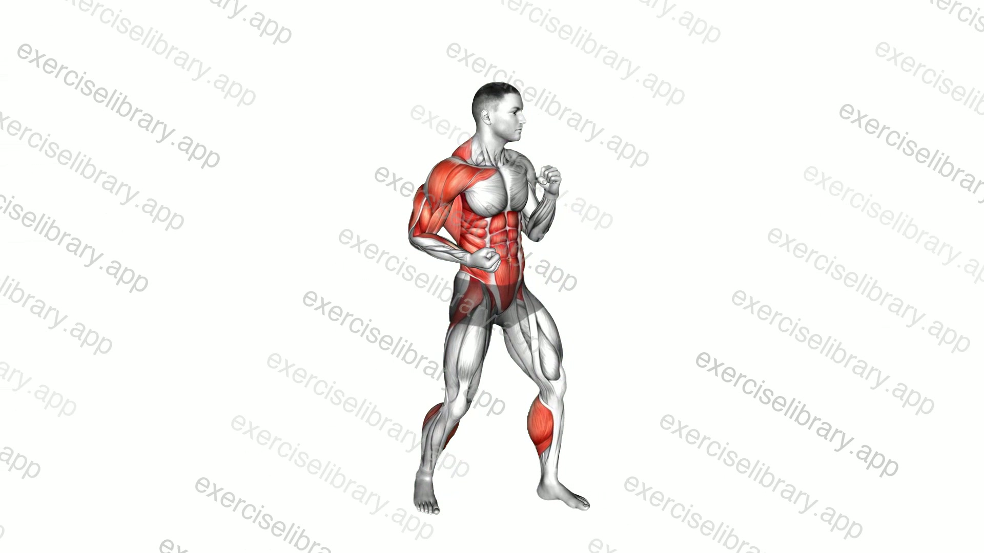 Boxing Right Uppercut demonstration