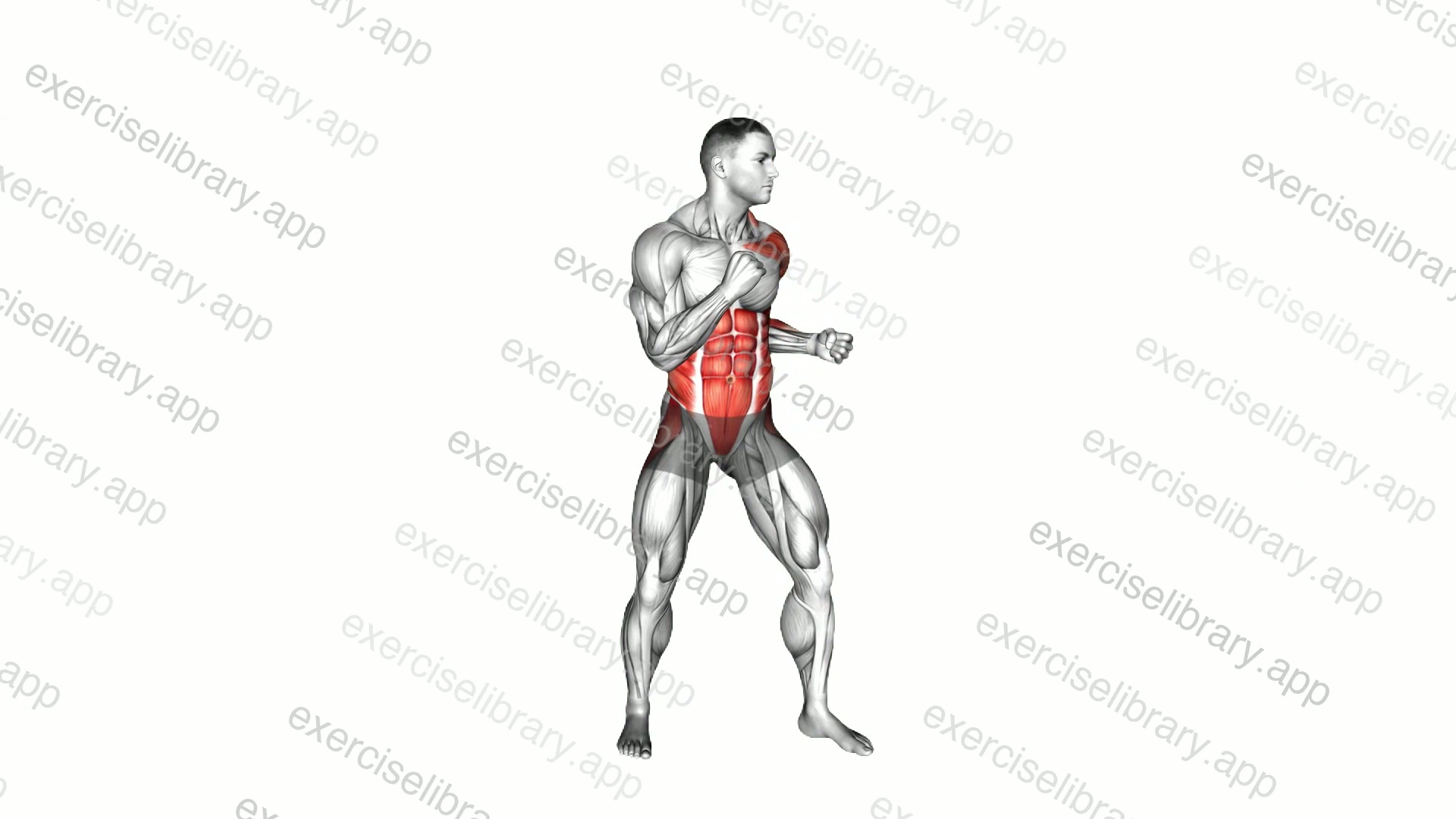 Boxing Left Uppercut demonstration