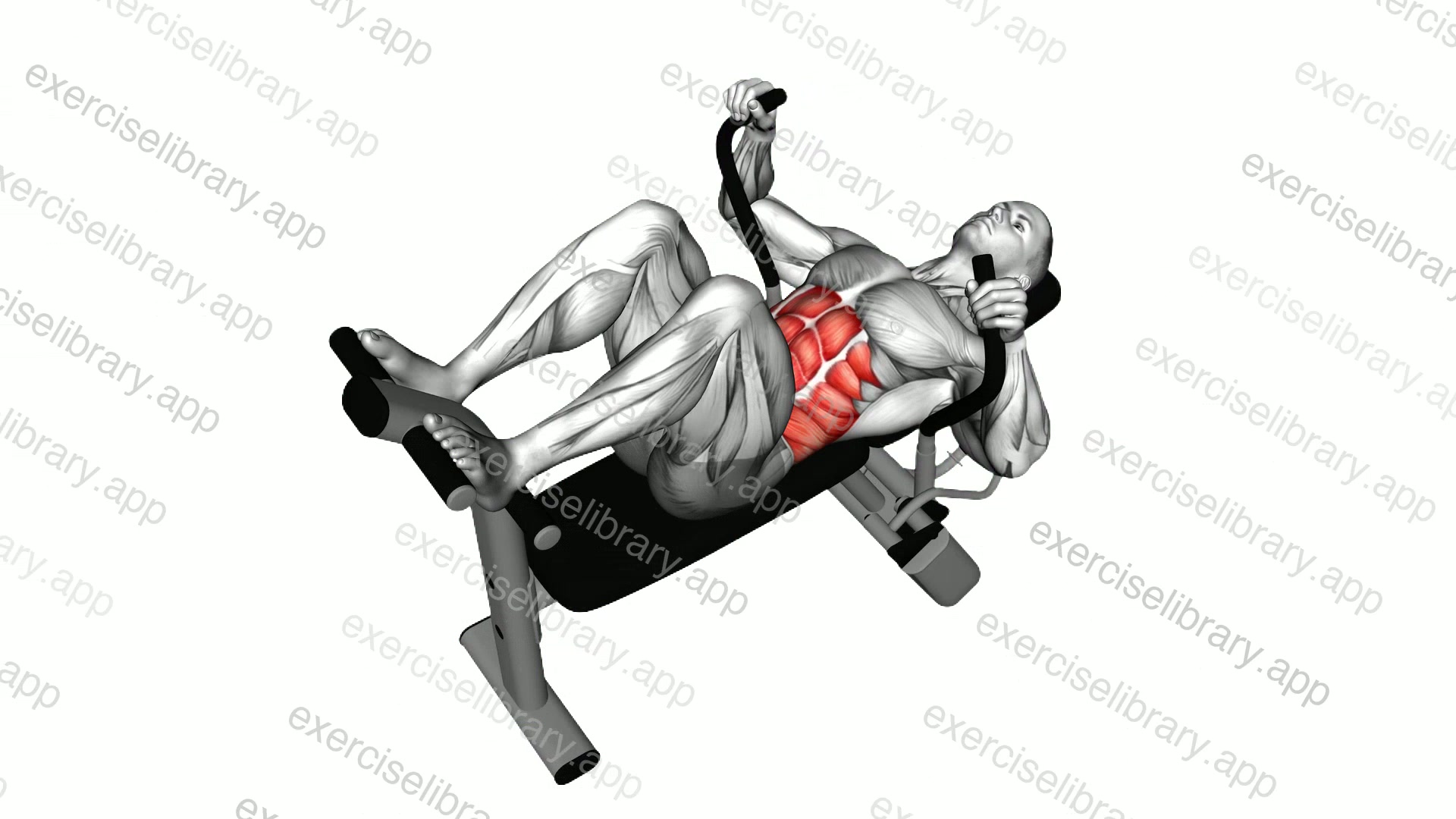 Lever Lying Crunch demonstration