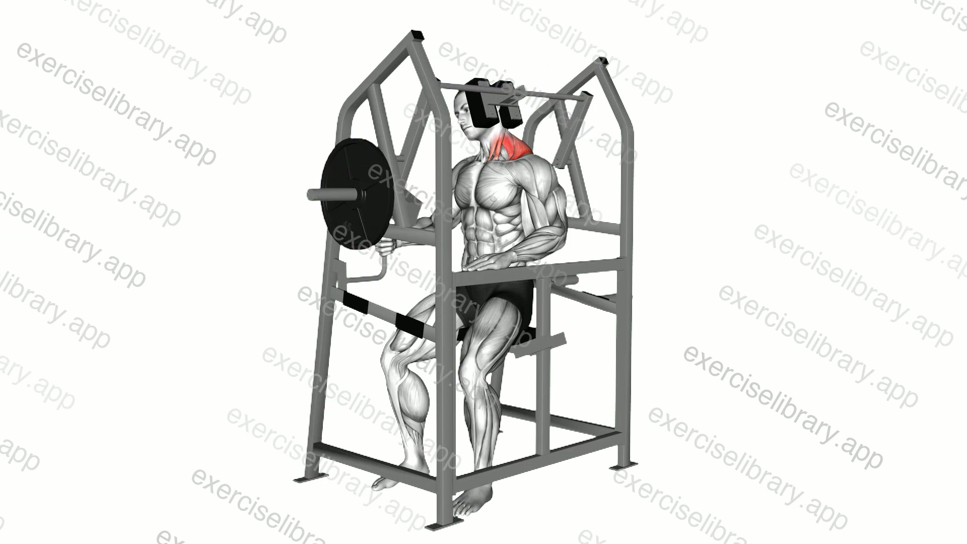 Lever Neck Left Side Flexion demonstration