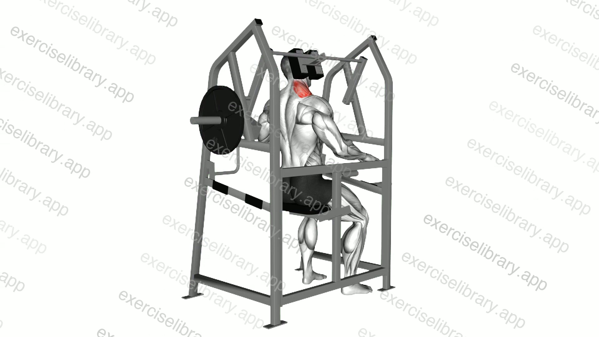 Lever Neck Right Side Flexion demonstration