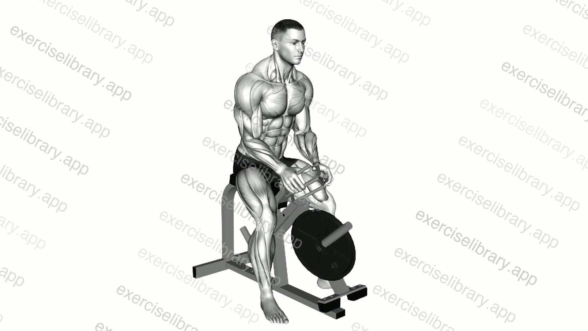 Lever Gripper Hands demonstration