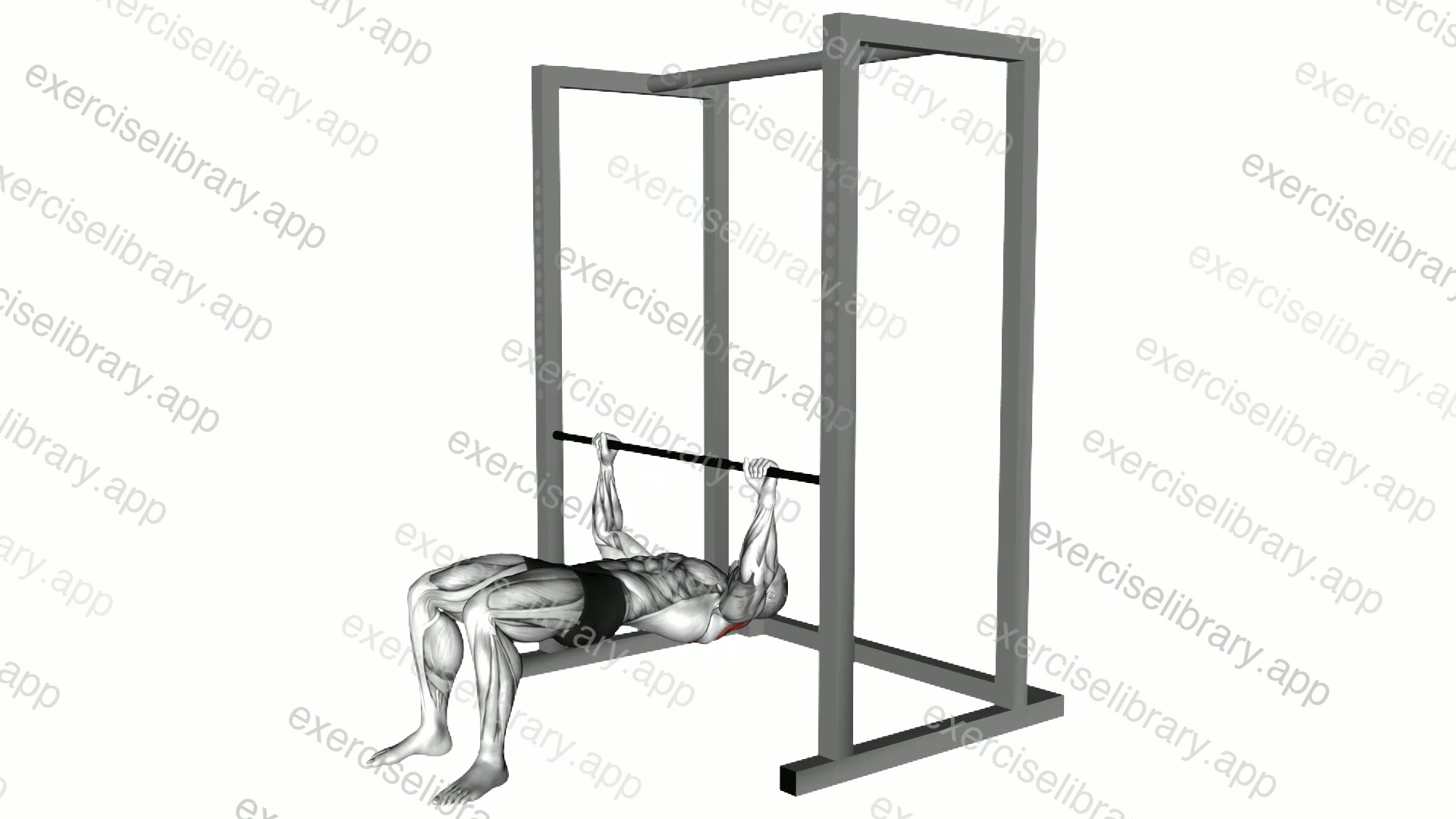 Inverted Row Bent Knees demonstration