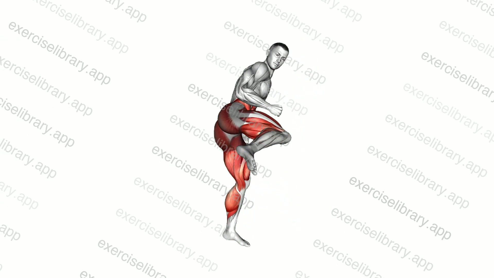 Spin Hook Kick demonstration
