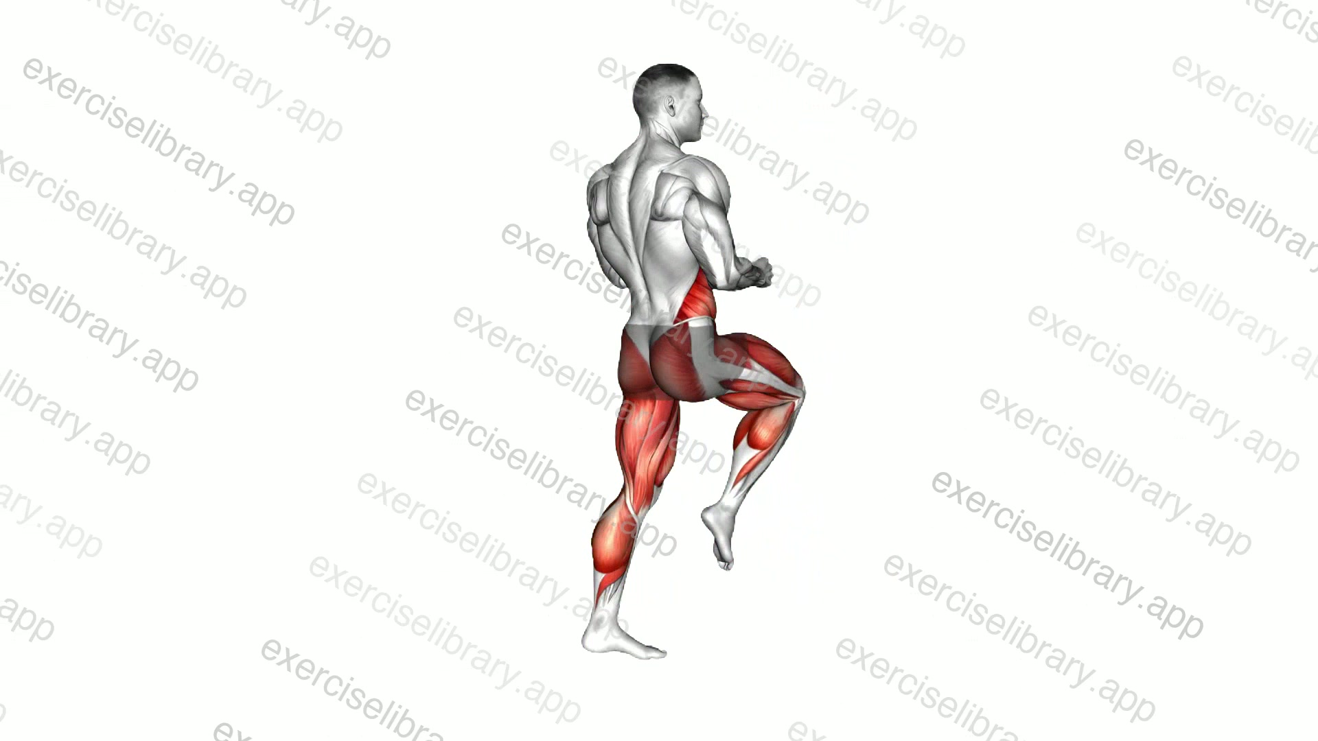 Spin Back Kick demonstration