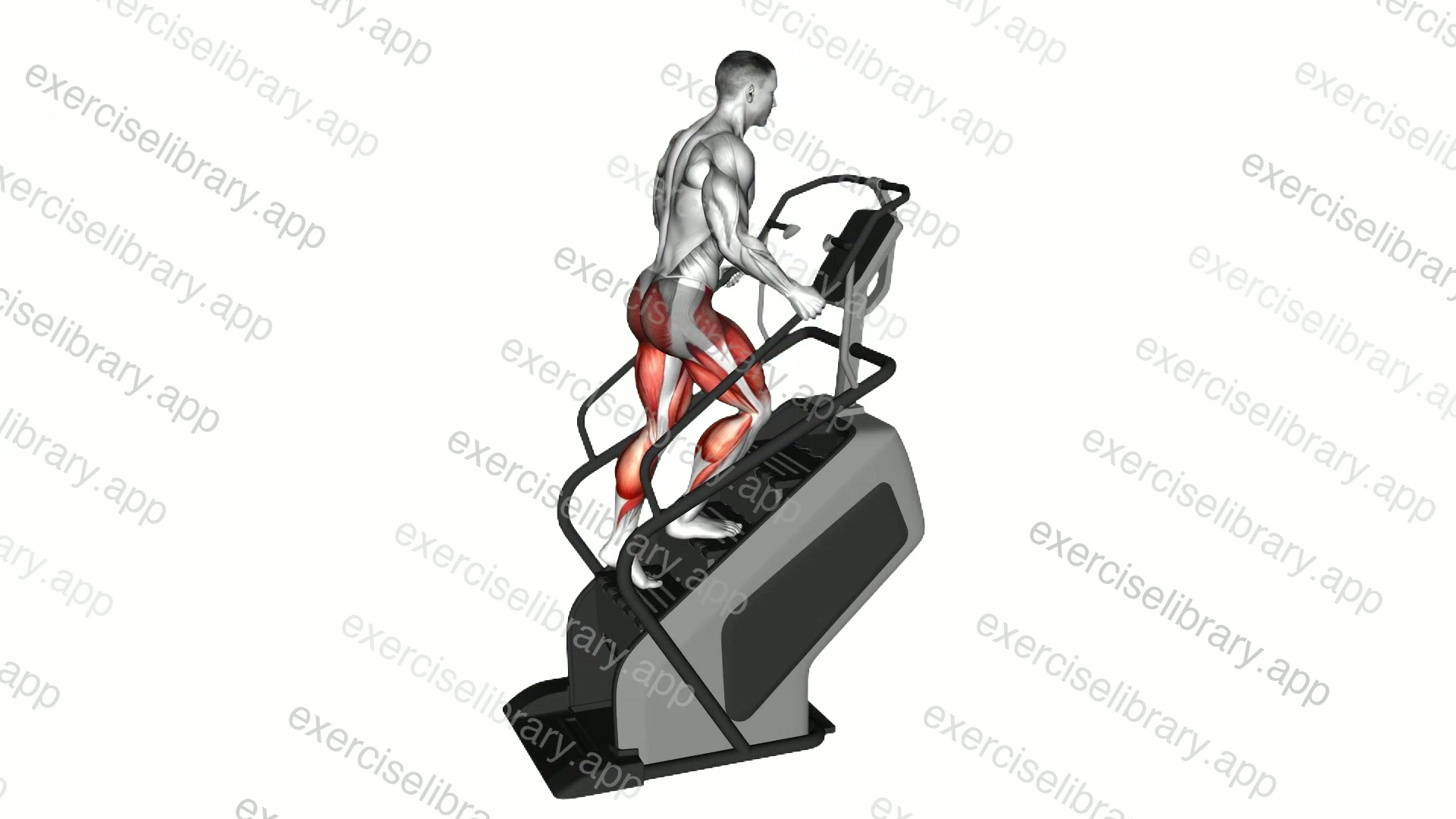 Walking on Stepmill demonstration